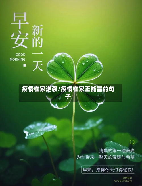疫情在家逆袭/疫情在家正能量的句子-第3张图片