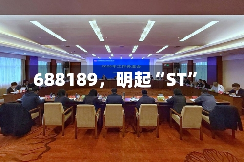 688189，明起“ST”-第2张图片