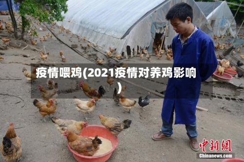 疫情喂鸡(2021疫情对养鸡影响)