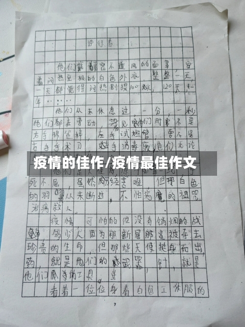 疫情的佳作/疫情最佳作文-第3张图片