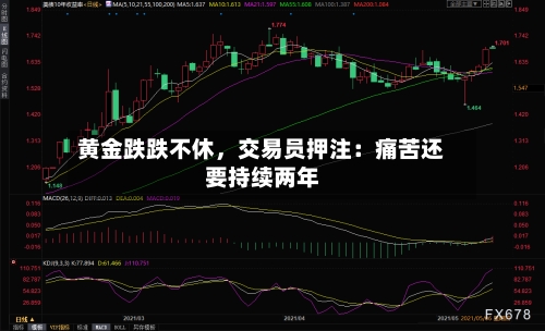 黄金跌跌不休，交易员押注：痛苦还要持续两年-第3张图片