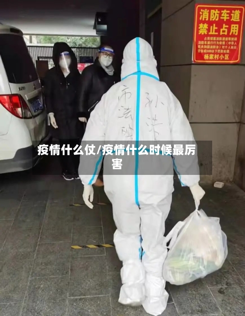 疫情什么仗/疫情什么时候最厉害