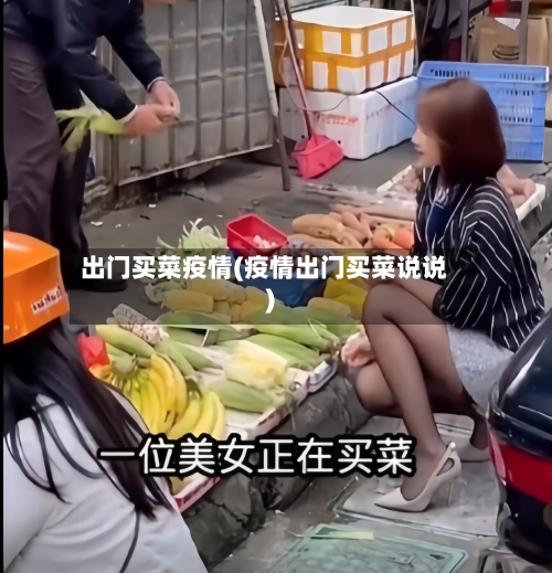 出门买菜疫情(疫情出门买菜说说)
