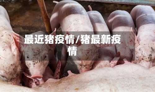 最近猪疫情/猪最新疫情-第3张图片