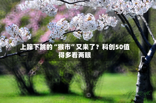 上蹿下跳的“猴市”又来了？科创50值得多看两眼