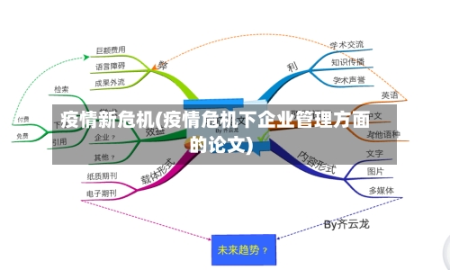 疫情新危机(疫情危机下企业管理方面的论文)-第3张图片