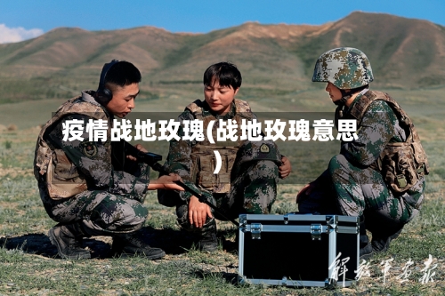 疫情战地玫瑰(战地玫瑰意思)-第2张图片